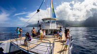 Niihau and Na Pali Coast Kauai Snorkel Cruise with Optional Scuba