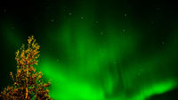 The Northern Lights Hunting Tour Incl Snacks On Campfire From Rovaniemi