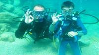 Scuba Diving for Beginners from Chania