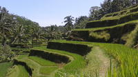 Ubud Cultural Day Tour: A Day for Balinese Cultural Experience