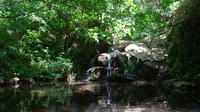Montseny RANDONNEE de Barcelone avec Eco-friendly Déjeuner