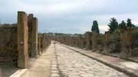 Independent Pompeii, Herculaneum and Mt Vesuvius Visit from Naples