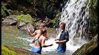 El Yunque Rainforest Adventure - FULL DAY - From San Juan