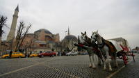 Full Day Istanbul Classics and Bosphorus Cruise Tour