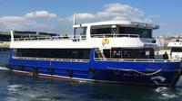 Short Guided Bosphorus Cruise with Transport