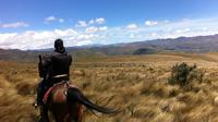 2-Day at La Hacienda Including Horse Riding and Otavalo Indigenous Market