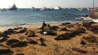 6-Day Galapagos Islands Adventure: Diving, Hiking and Snorkeling