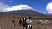 Cotopaxi Overnight Horseback Riding Tour 