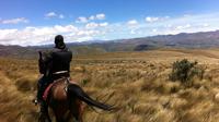 Horseback Riding at Cayambe Volcano from Quito