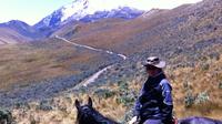 Overnight Camping Including Horse Ride at Cayambe Paramo