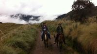 Paramo Day Trip: Horse Riding and Hot Springs