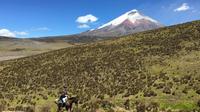 Private Horseback Riding at Cotopaxi Volcano from Quito image 1 Private Horseback Riding at Cotopaxi Volcano from Quito image 1