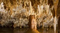 Balmaseda et Pozalagua Caves Private Tour de Bilbao