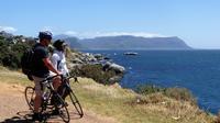 Cape Peninsula Guided Road Bike Day Tour from Cape Town