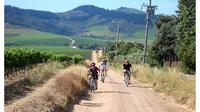Cape Winelands Cycle Tour and Wine Tasting from Stellenbosch