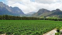 Franschhoek Winelands Guided Half-Day Tour from Cape Town