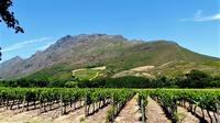 Stellenbosch Winelands Guided Half-Day Tour from Cape Town