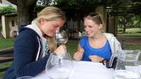 Wine Cycling Tour in Franschhoek