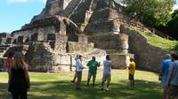 Altun Ha and Belize City Tour