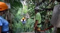 Belize City Shore Excursion: Canopy Zipline Tour