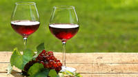 Private Wine Tasting Tour from Makarska Riviera to Peljesac Peninsula 