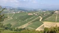Barbaresco Guided Hike with Brunch and Wines