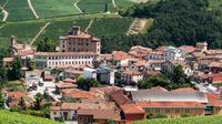 Barolo Wine Tour Without Transportation