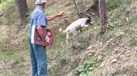 Truffle Hunting and Barolo tasting including transport