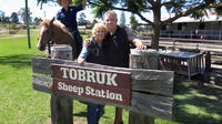 Private Tobruk Sheep Station Day Tour from Sydney Including BBQ Lunch