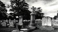Pensacola Haunted Cemetery Tour