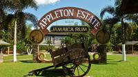 Appleton Estate Rum Tour and Tasting from Negril