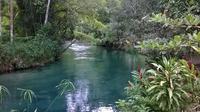 Blue Hole and River Gully Rain Forest Adventure Tour from Montego Bay