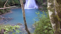 Blue Hole and River Gully Rainforest Adventure Tour from Falmouth