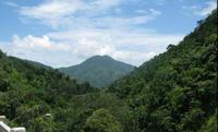 Blue Mountain Bicycle Tour from Runaway Bay