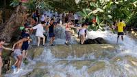 Dunn's River Falls and Fern Gully Highlight Adventure Tour from Falmouth