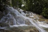 Dunn's River Falls and Fern Gully Highlight Adventure Tour from Montego Bay