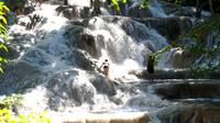 Dunn's River Falls and Fern Gully Highlight Adventure Tour from Ocho Rios