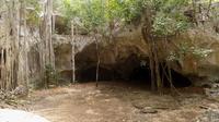 Green Grotto Caves Excursion from Ocho Rios