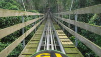 Mystic Mountain Jamaica Bobsled from Ocho Rios