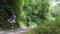 Original Blue Mountain Bicycle Tour from Falmouth