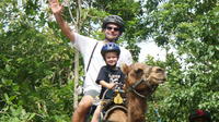 Outback Camel Adventure Tour from Ocho Rios