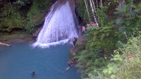 Private Tour: Blue Hole and Fern Gully Rain Forest Adventure from Ocho Rios