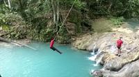 Private Tour Blue Hole and River Gully Rain Forest Adventure Tour from Kingston