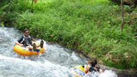 River Rapids Jungle River Tubing Adventure from Ocho Rios