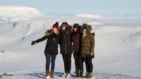 Small-Group Day Trip to Thorsmork and Eyjafjallajokull from Reykjavik