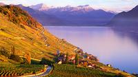 2 for 1 Digital Swiss Coupon Pass Montreux