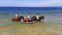 Horse Riding in Comporta 