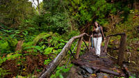 Hiking Tour in Sao Miguel Azores to Faial da Terra
