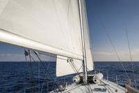 VIP Private Yacht Tour with Personal Chef à Playa del Carmen