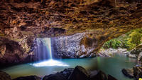 Springbrook Natural Arch and Bush Tucker Tasting Day Trip from the Gold Coast